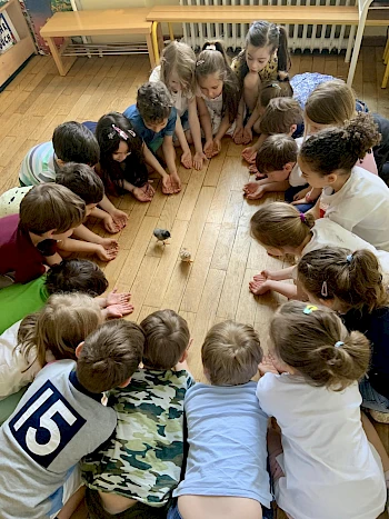 Les poussins dans la maternelle